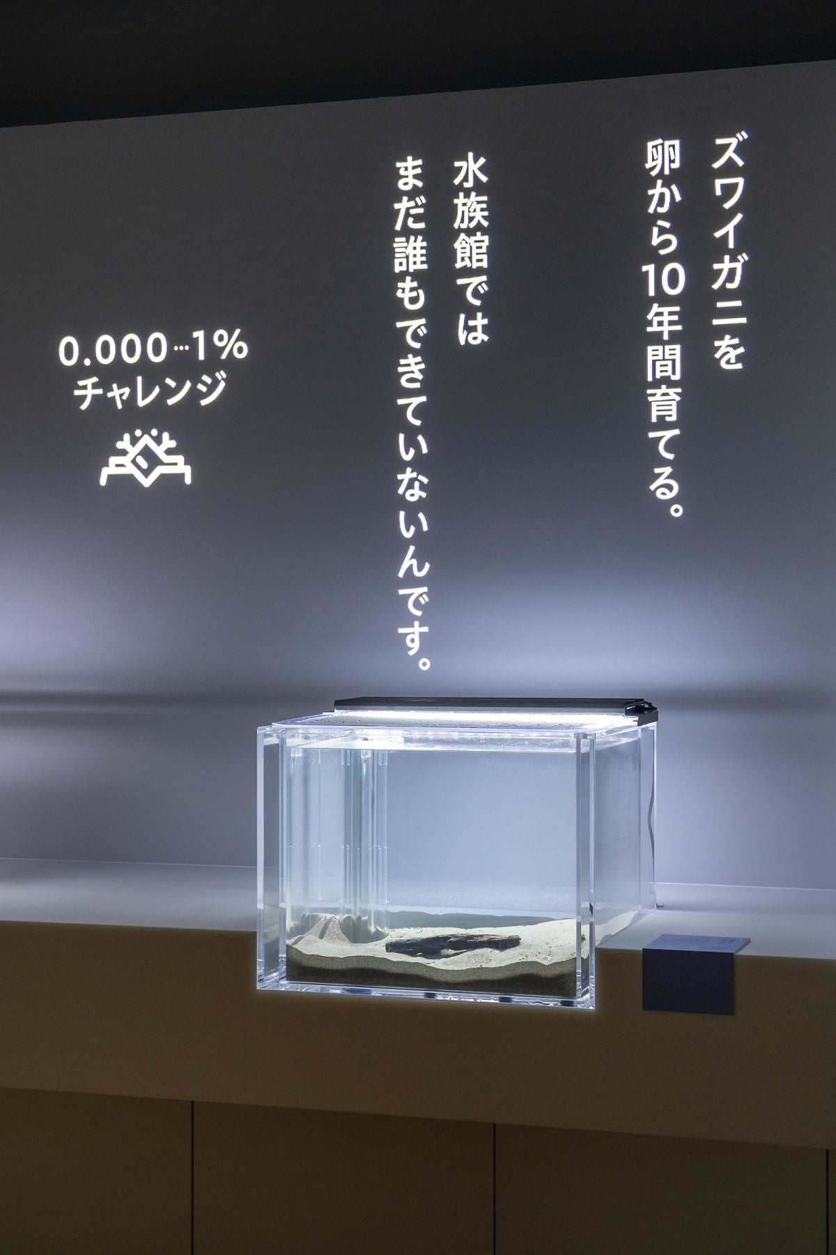 城崎マリンワールド SeaZoo6